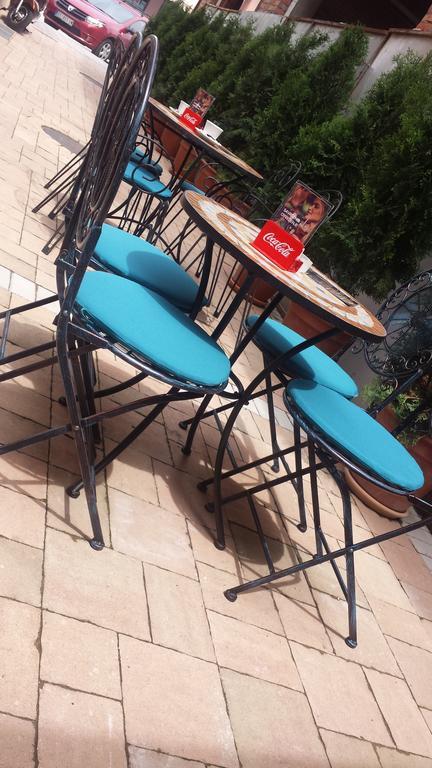 Garni Hotel Tema Nova Čačak エクステリア 写真